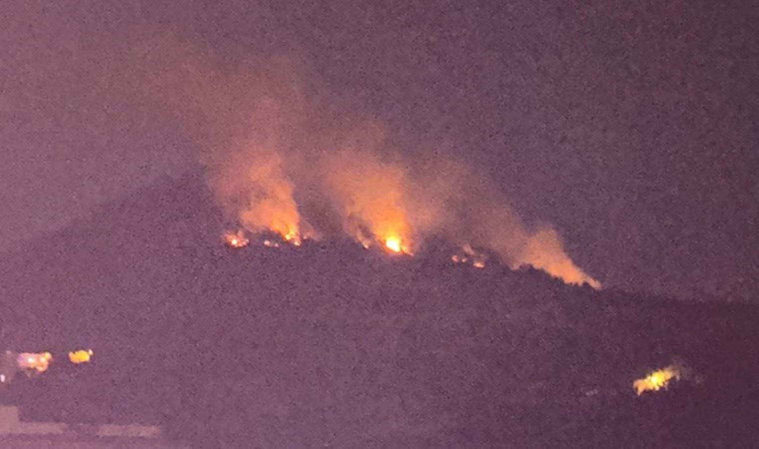 Adana’da orman yangını: Ekipler müdahale ediyor